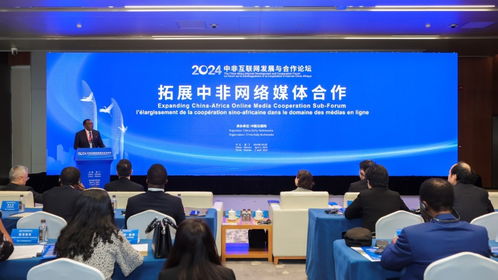 數字絲路新篇章 中非互聯網發展與合作論壇推動文化藝術交流深化